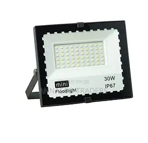 Mini Super Bright 30W LED FLOODLIGHT