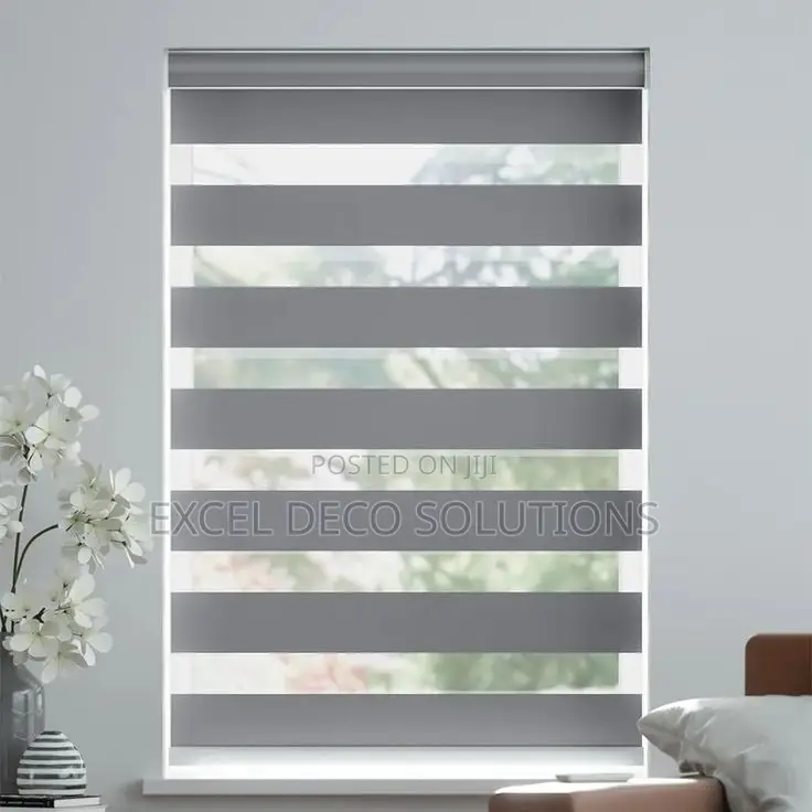 Daylight Privacy Window Blinds-sheer Roller