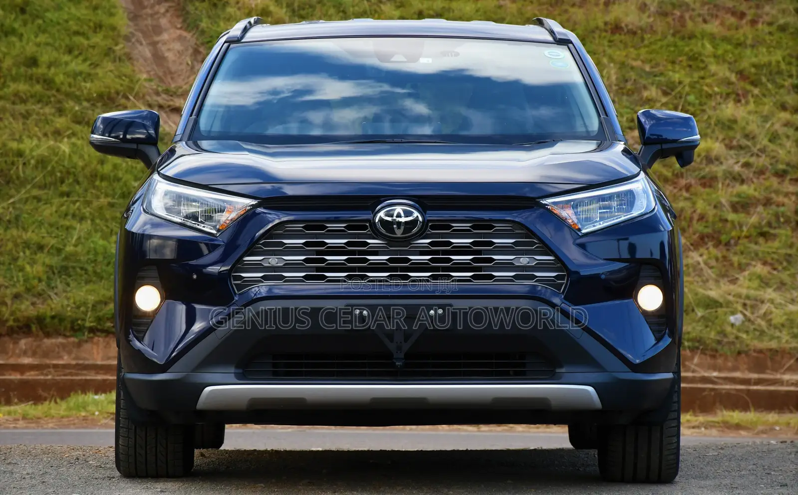 Toyota RAV4 2020 Blue