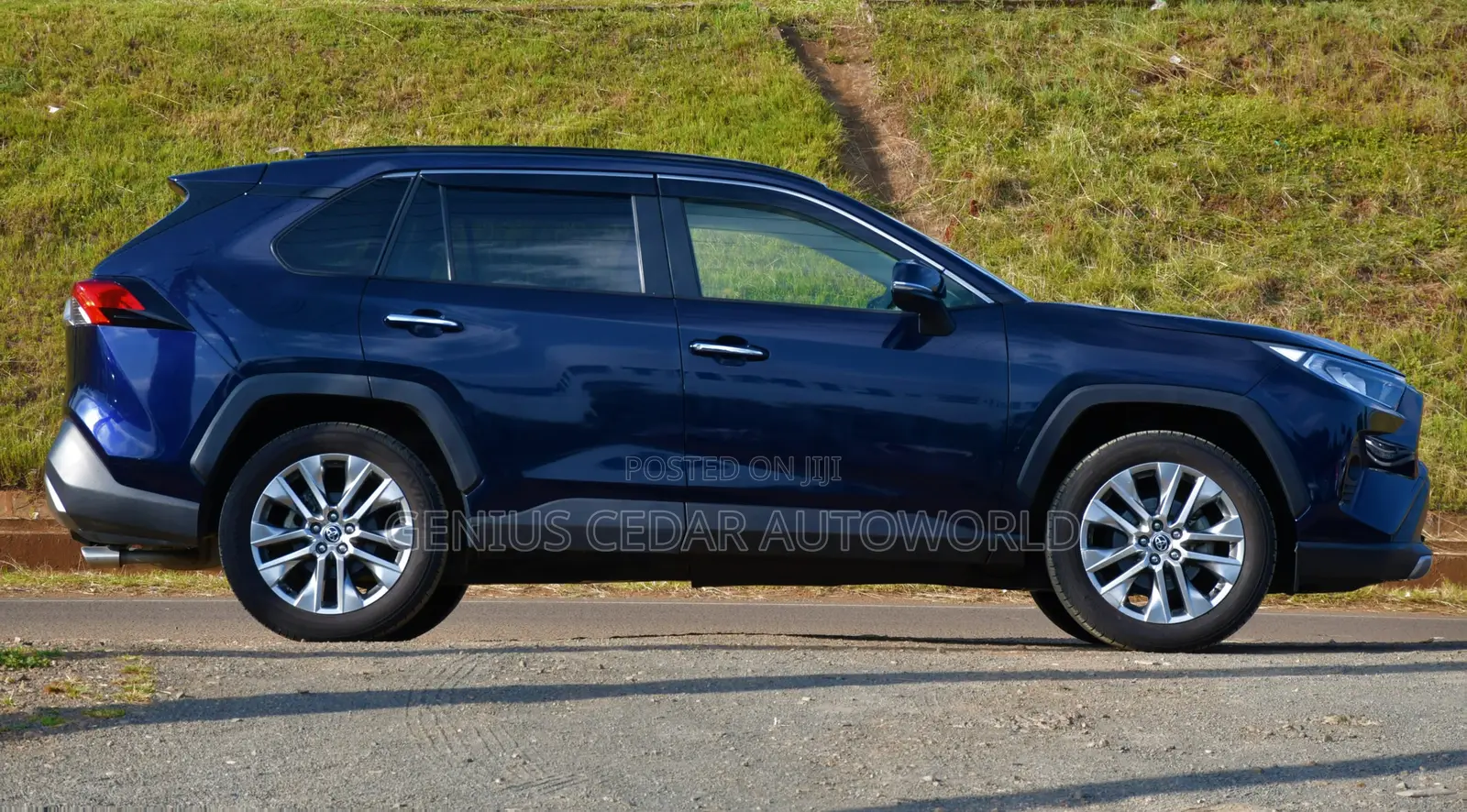 Toyota RAV4 2020 Blue