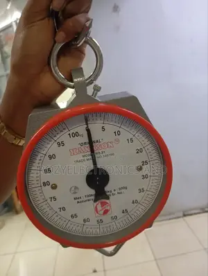 Hanson Scale 100kg
