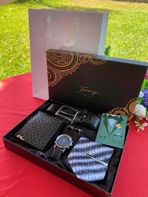 Stylish Mens Tie and Watch Gift Set