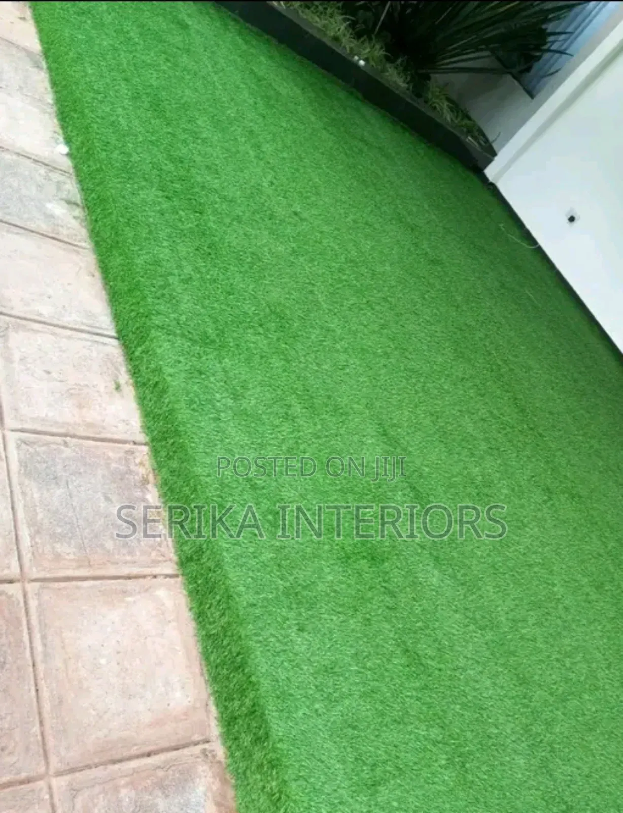 Grass Carpets Dense Grass Carpet