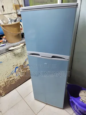 Two Doors Mini Frost Fridge