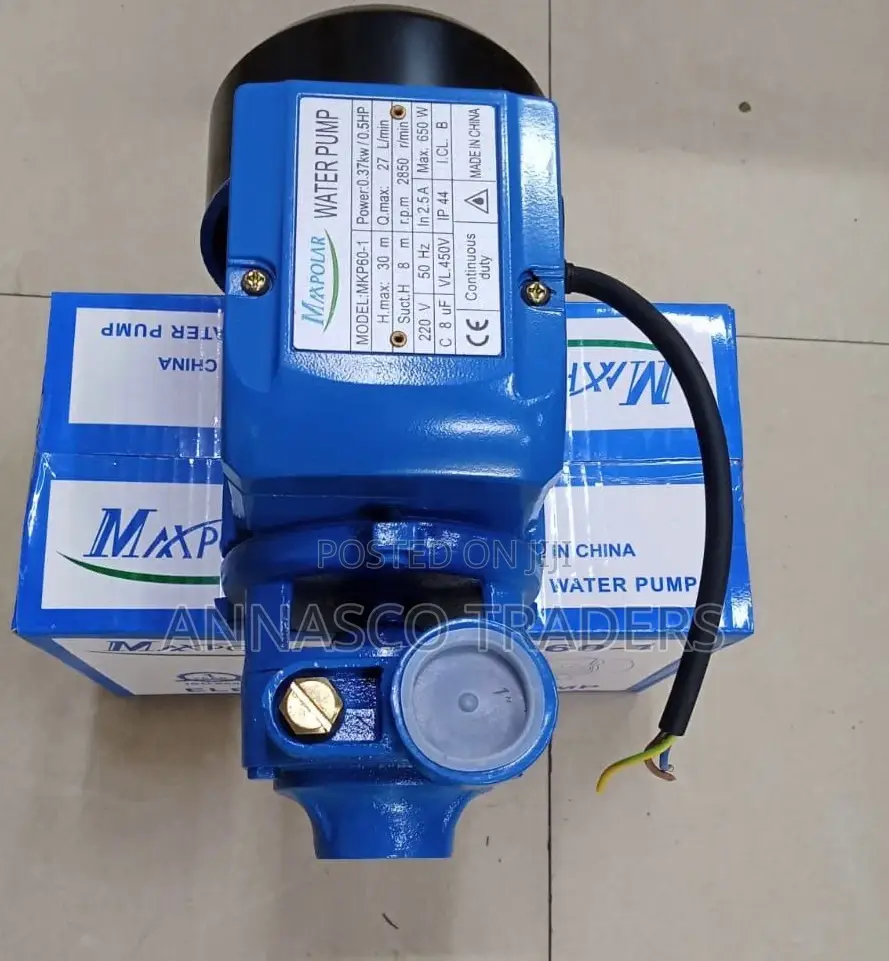 Powerful Maxpolar Booster Pump 0.5HP