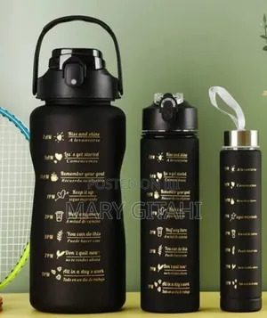 3 in 1 Motivational Water Bottle at 