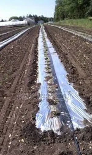 Weed Control Made Easy With Mulch Film