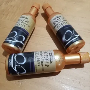 Car Purification Converter Cleaner