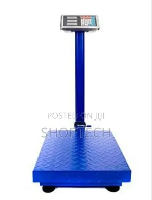 300 KGS Platform Weighing Scale