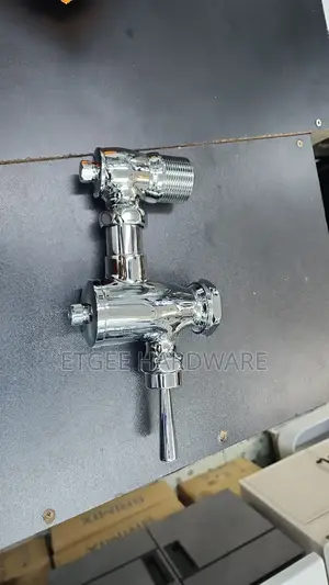 Toilet Flash Valve