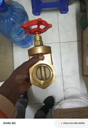 2" Peglar Gate Valve