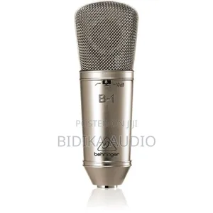 Stardard Behringer B-1 Microphone
