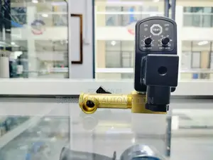 Auto Drain Valve 1/2"