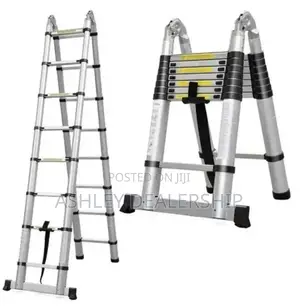Double Telescopic Ladder 2.5m × 2.5m