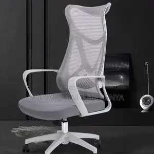Office Chairs: Ergonomic Supportive Office Mesh Chair
