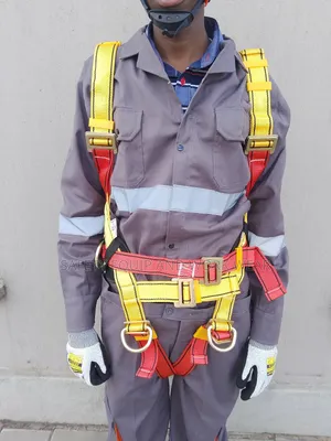 Full Body Harness