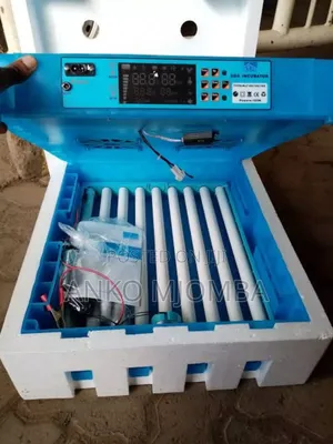Eggs Incubator 64 Eggs AC / DC