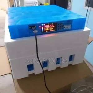 Eggs Incubator 64 Eggs AC / DC