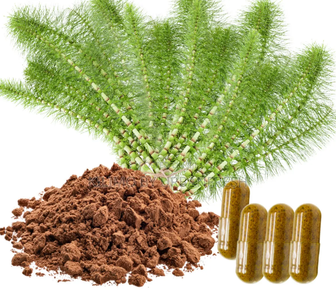 Horse Tail Extract 250g