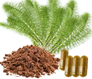 Horse Tail Extract 250g