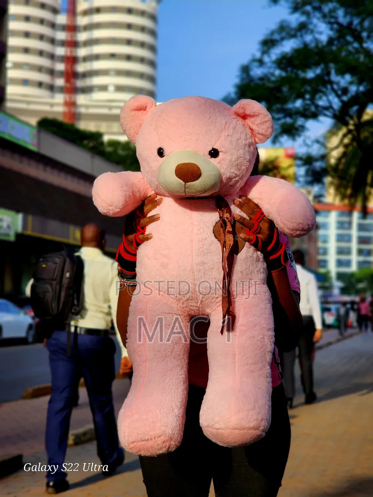 Large Teddy Bears