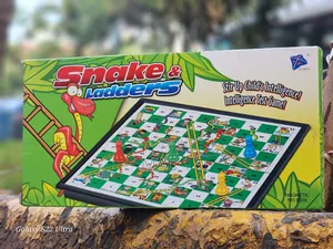 Snake and Ladders Magnet Boards