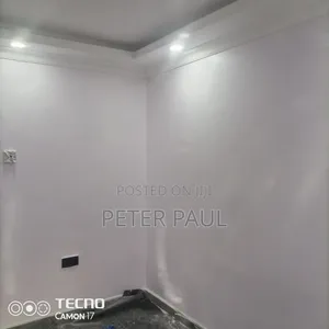 Painting and Wall Work