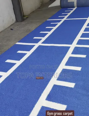 Marked Artificial Blue Gym Grass Carpets Supply and Fitting