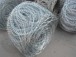Perimeter Wall Razor Fence