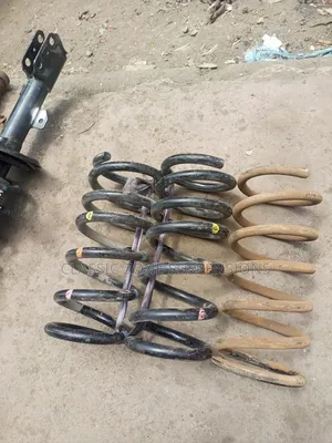 Toyota Alphard Back Springs