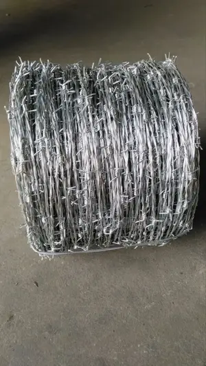 Sharp Spikes Barbed Wire-610m
