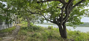 2-acre Prime Creekfront Beach Plot For Sale