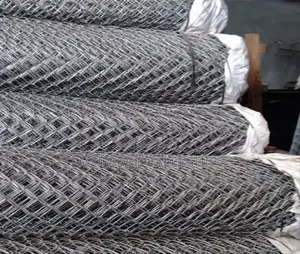Galvanized Wire/Chainlink Fence