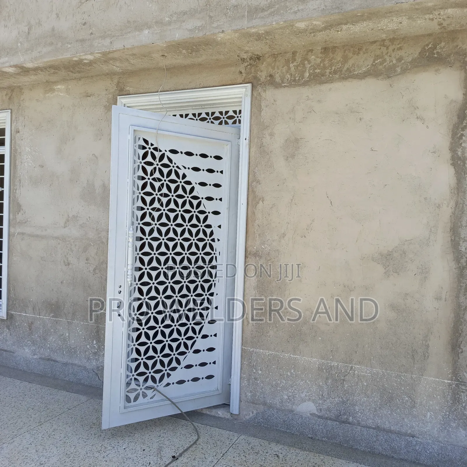 Powder Coated Exterior Doors