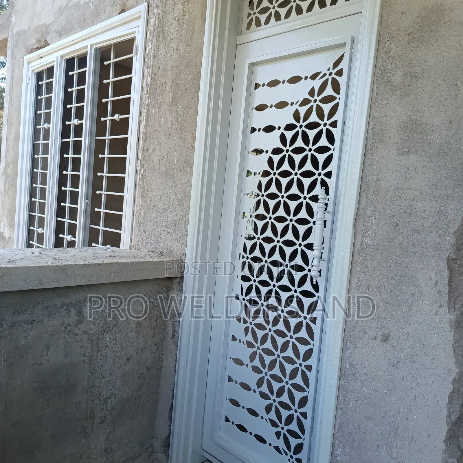 Powder Coated Exterior Doors