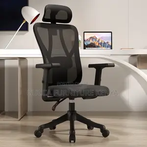 Office Chairs: Othopedic High-End Ergonomic Office Chair