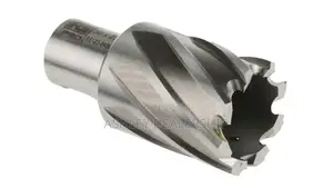 Magnetic Drill Bit