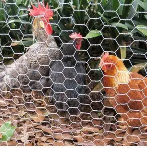 Chicken Wire Mesh 1''x 3ft×30m Roll (1827)