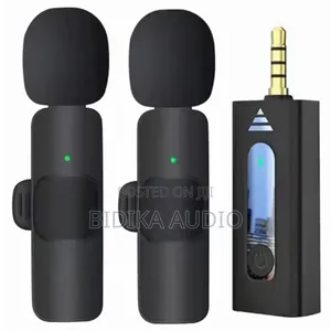 Brand New Wireless 2 Mics