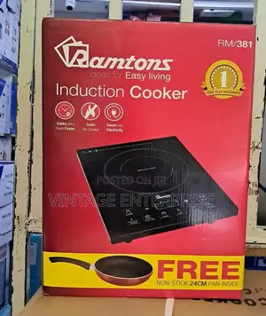 Ramtons Induction Cooker