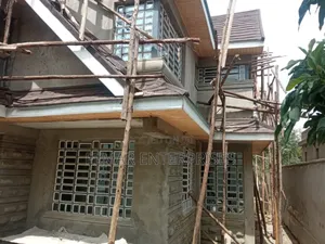 Windows/Doors Glasses