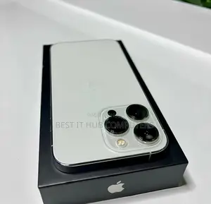 Apple iPhone 13 Pro 256 GB Silver