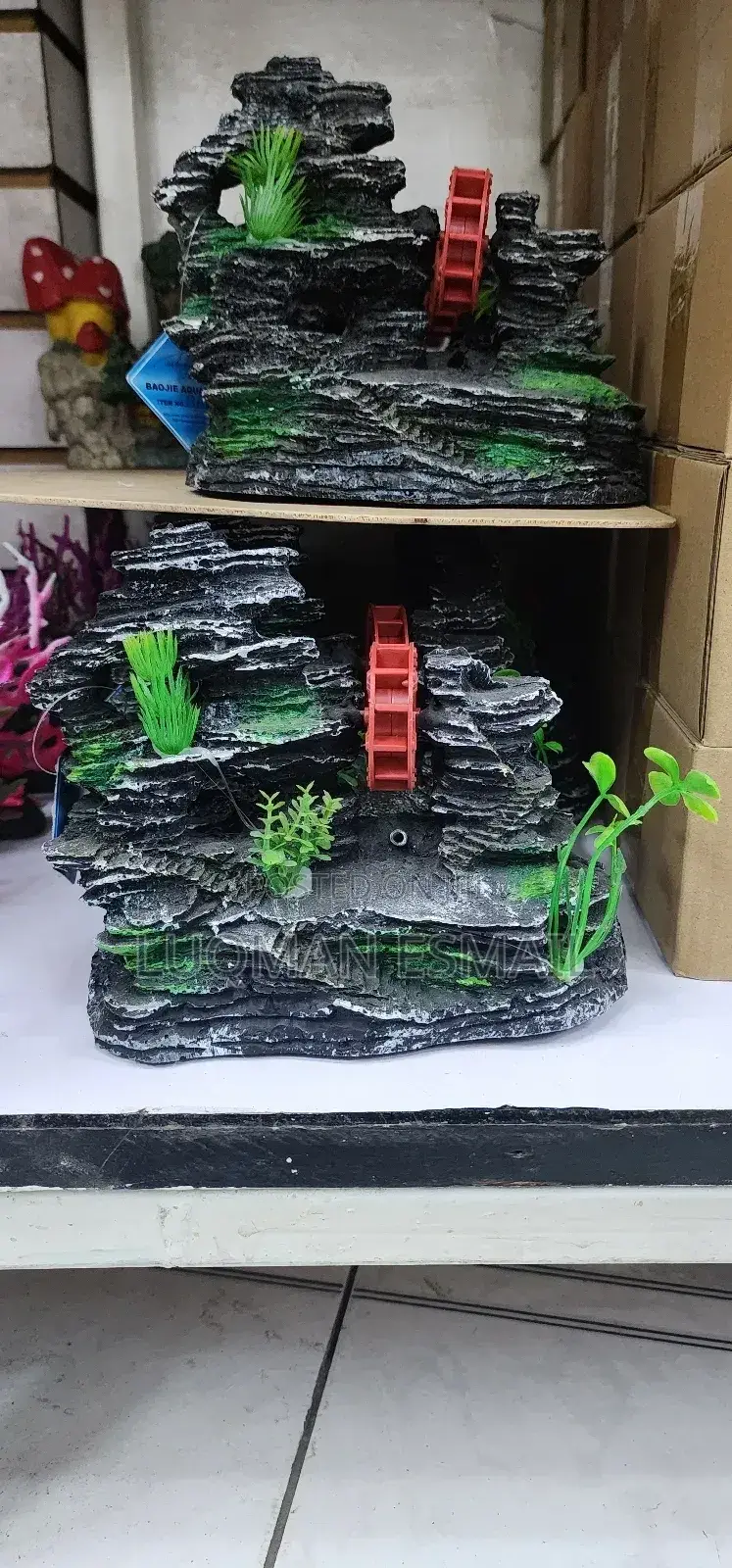 Aquarium Plants