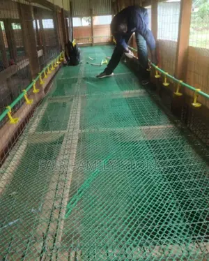 Plastic Poultry Mesh 1m*1m