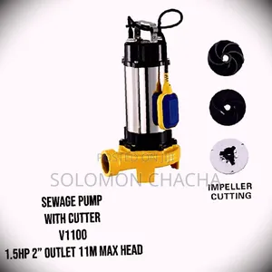 Sewage Pump 1.5HP 2" Outlet 11M Head With Cutter  V1100