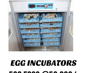 Automatic Egg Incubator 528eggs