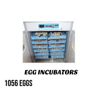 1056egg Incubator/Ac/Dc Automatic Egg Incubator