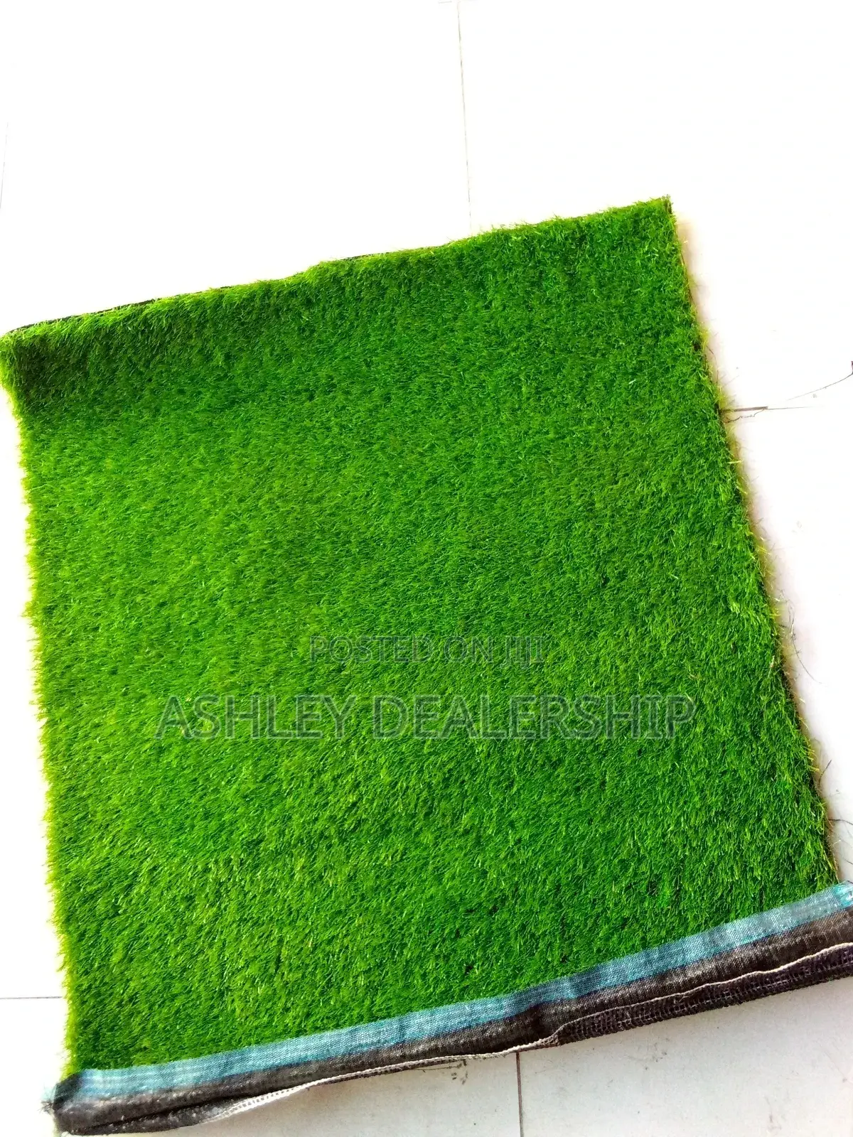 Artificial Grass Turf/Grass