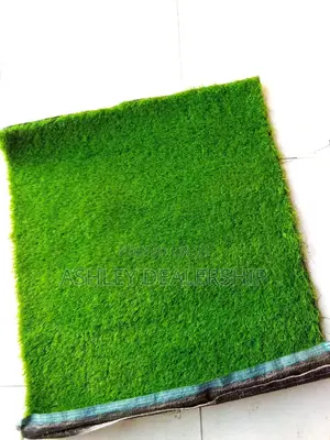 Artificial Grass Turf/Grass