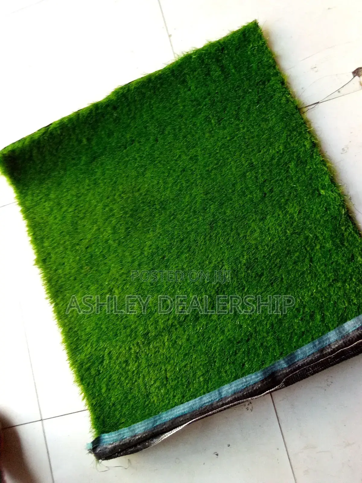 Artificial Grass Turf/Grass